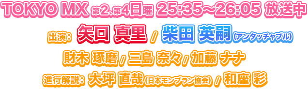 TOKYO MX 第2、第4日曜 25:35〜放送中
